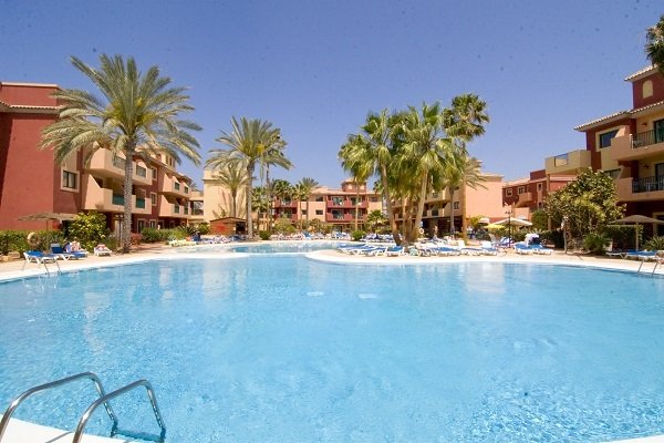 O7 Aloe Corralejo 2