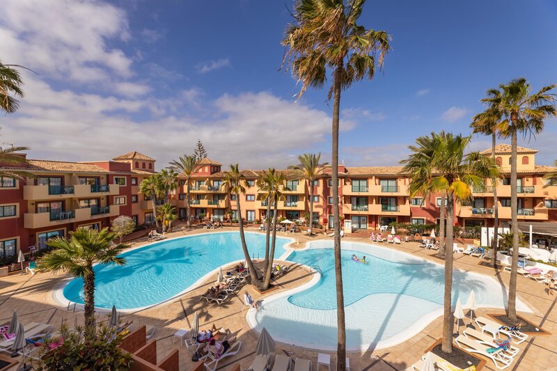 O7 Aloe Corralejo 1