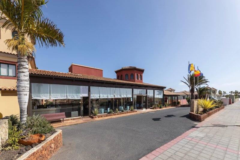 O7 Aloe Corralejo 2