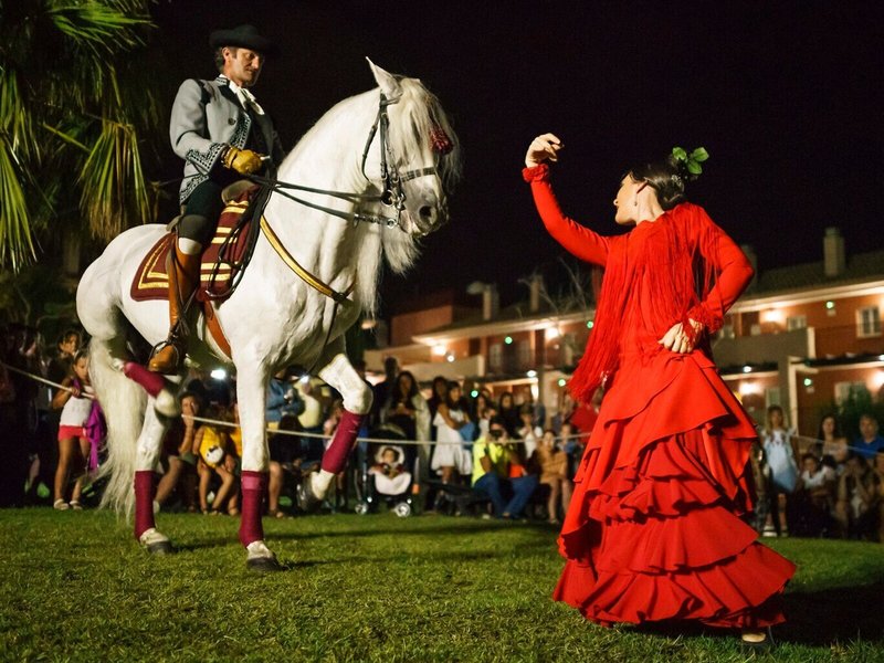 Ilunion Sancti Petri 40