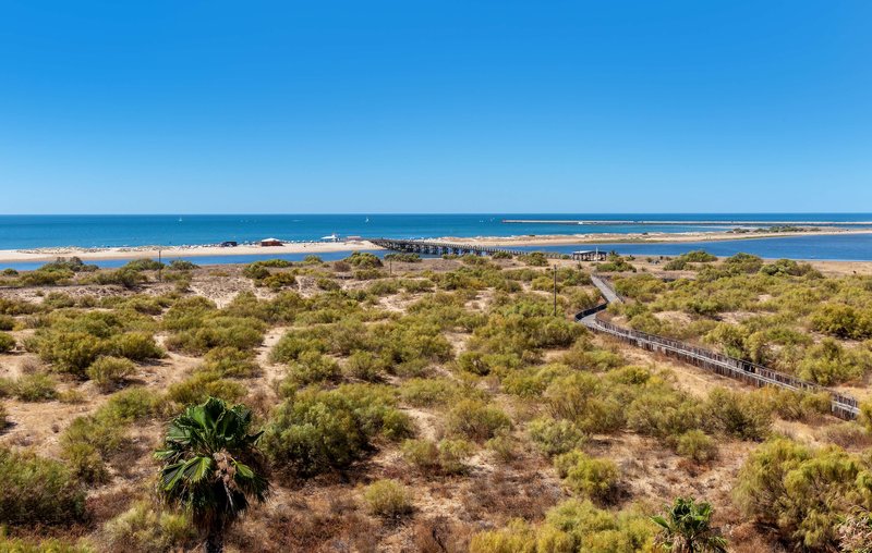 Occidental Isla Cristina 10