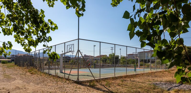 White Olive Premium Laganas 6