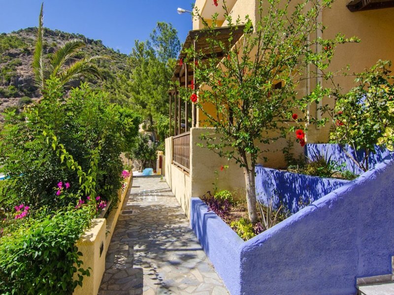Porfyra Village 1