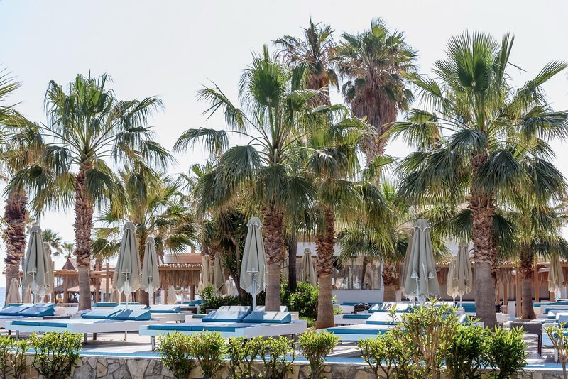Star Beach Village 54