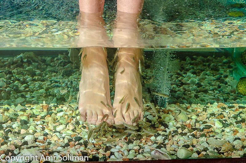 Titanic Resort & Aqua Park 128