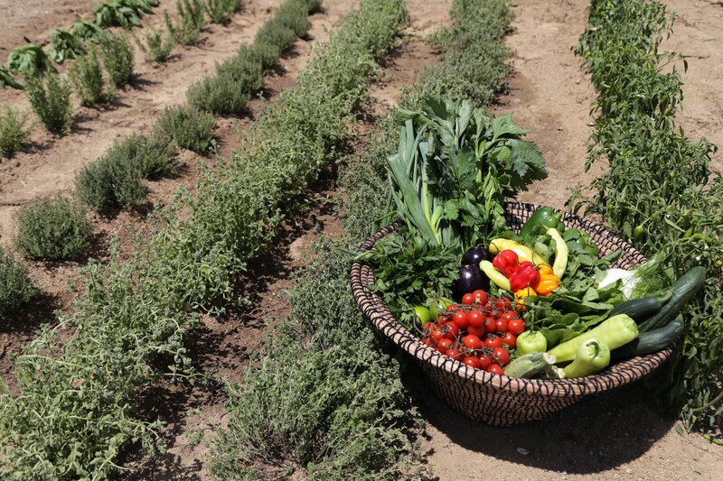 Livin Mykonos 36 - Garden