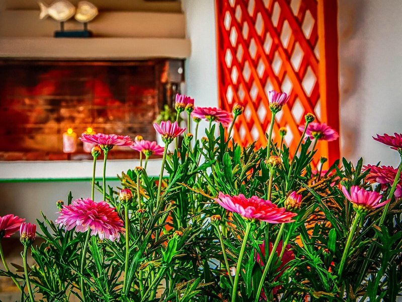 Aqua Mare Sea Side 5