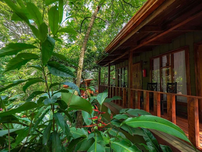 Jaguarundi Lodge 2