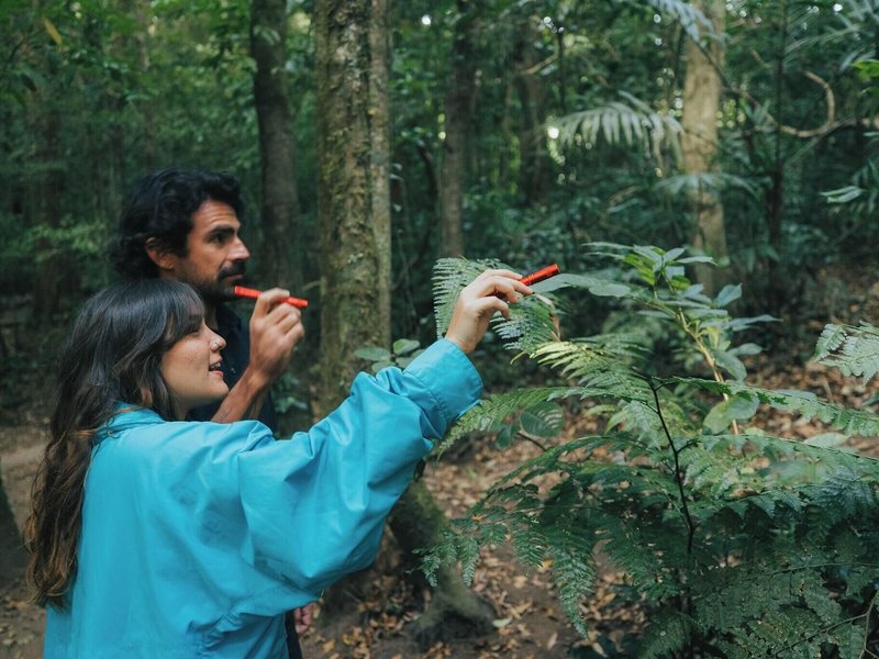 Jaguarundi Lodge 7