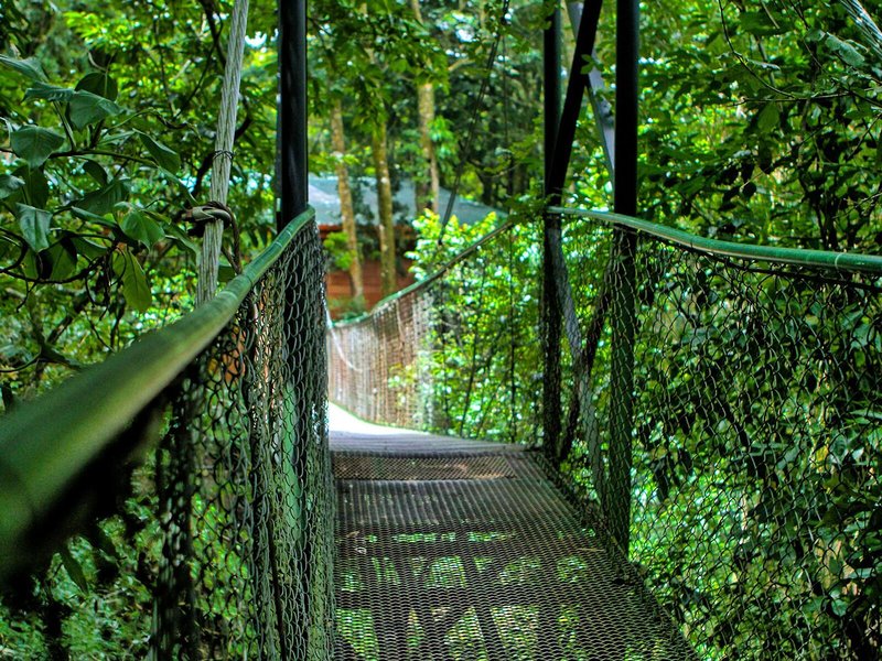 Jaguarundi Lodge 8