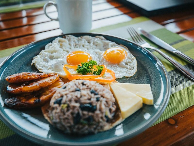 Jaguarundi Lodge 16