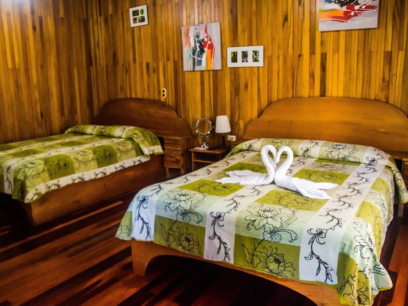 Jaguarundi Lodge 25