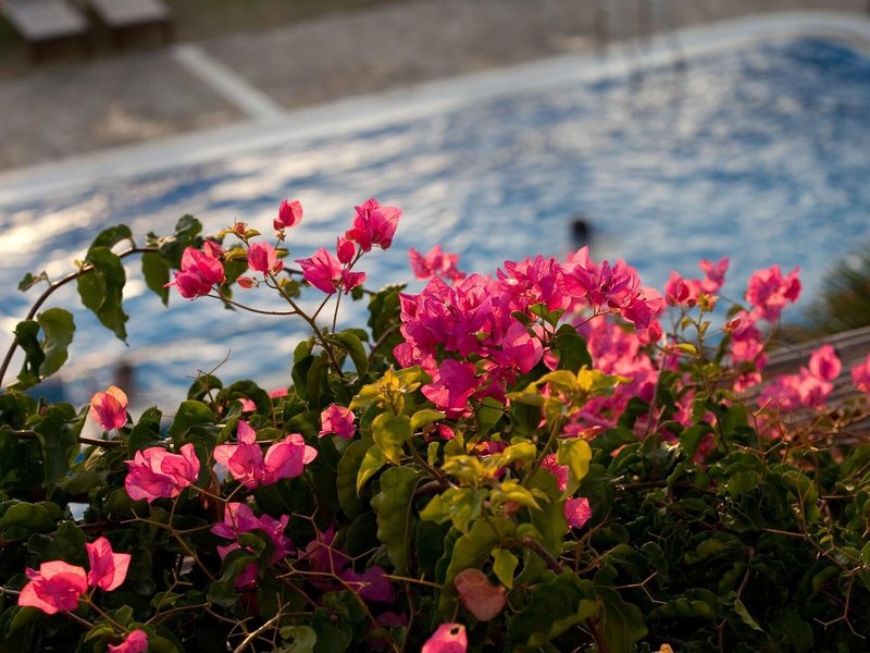 Antonina Hotel 7