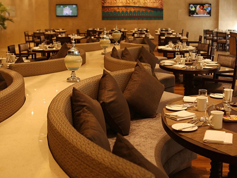 The Pride Plaza Hotel Aerocity 13