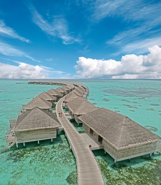 Cocoon Maldives 27