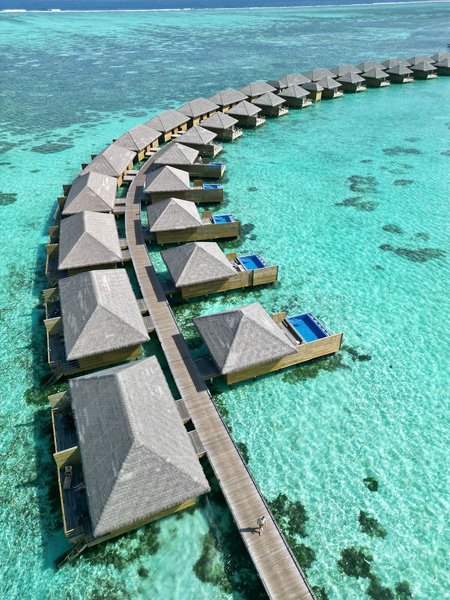 Cocoon Maldives 1