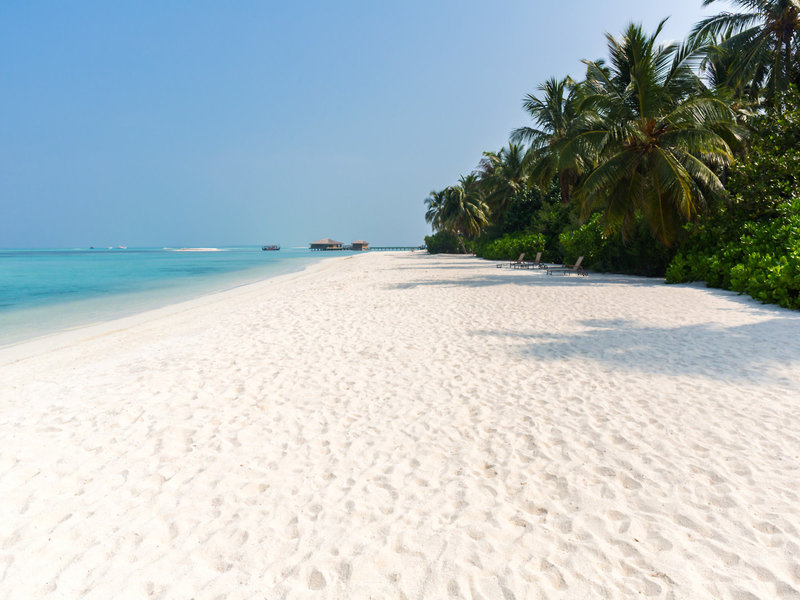 Cocoon Maldives 8