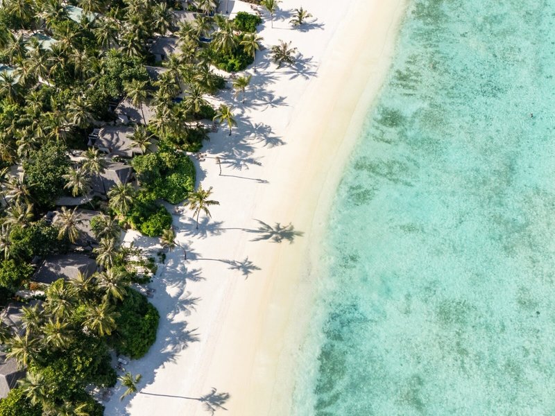 Cocoon Maldives 14