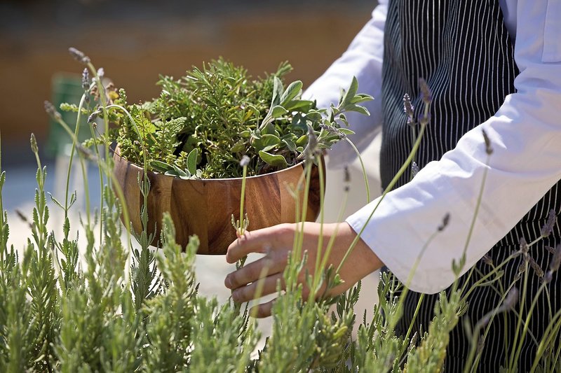 Anthemus Sea Beach Hotel & Spa 14