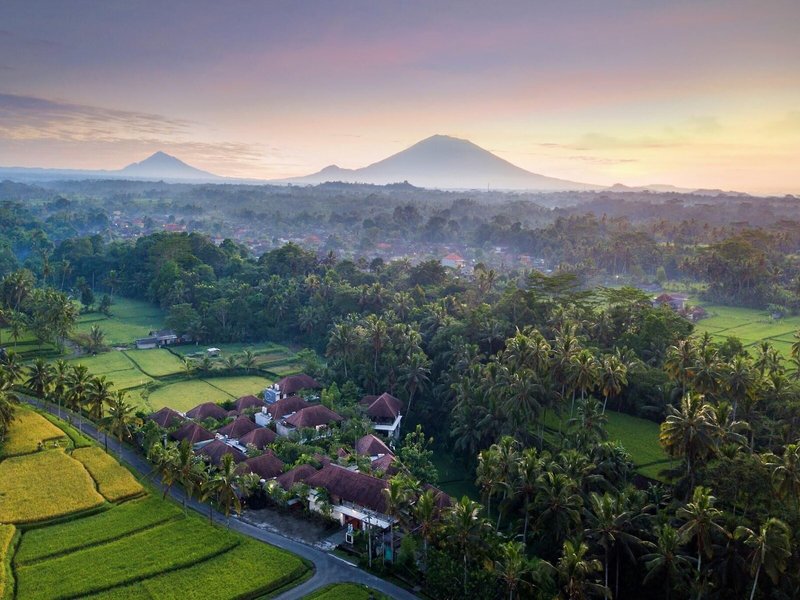Dedary Resort Ubud 3