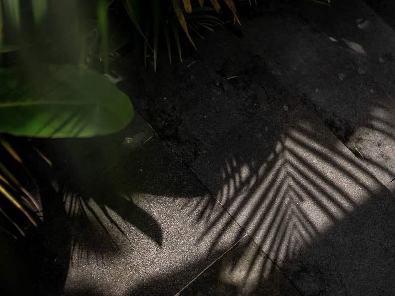 Dedary Resort Ubud 4