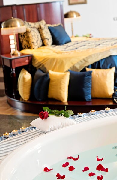 Meliá Grand Hermitage 81