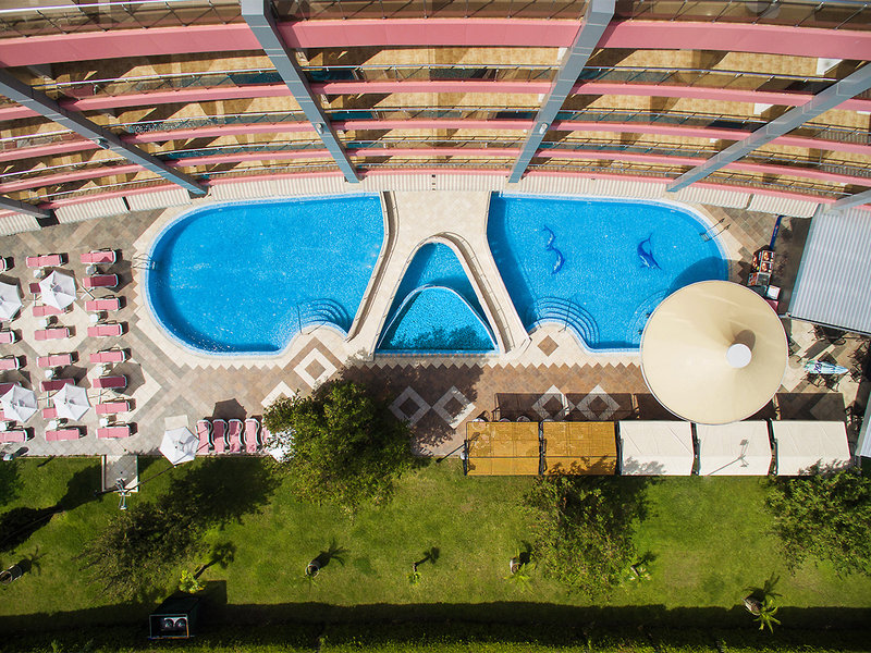 Flamingo Sonnenstrand 5