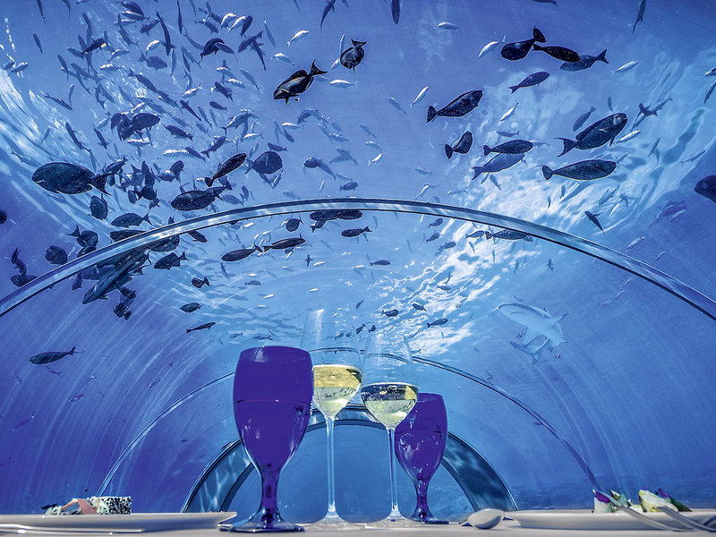 Hurawalhi Island Resort Maldives 14