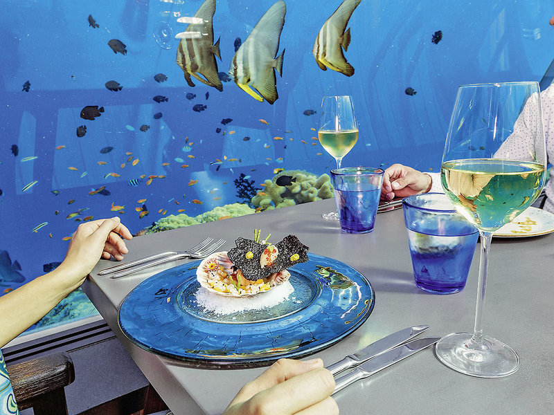 Hurawalhi Island Resort 6