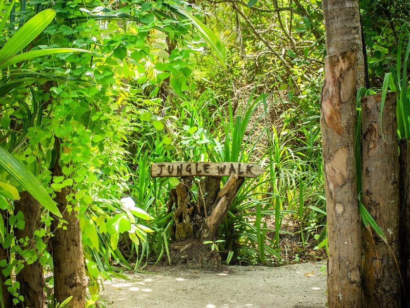 Dhigali Maldives 26