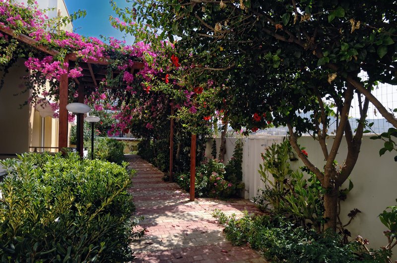 Golden Bay Hotel & Bungalows 5