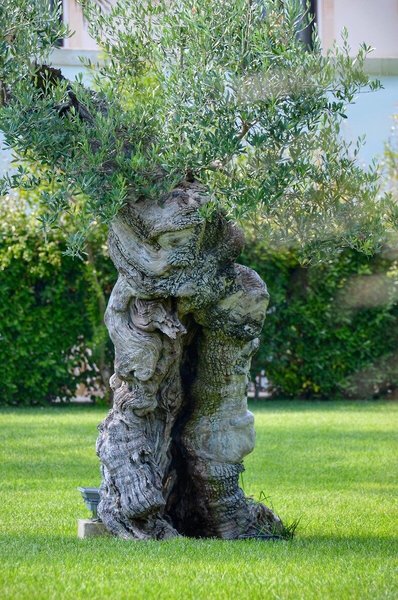 Viverde Hotel Tenuta Moreno 21