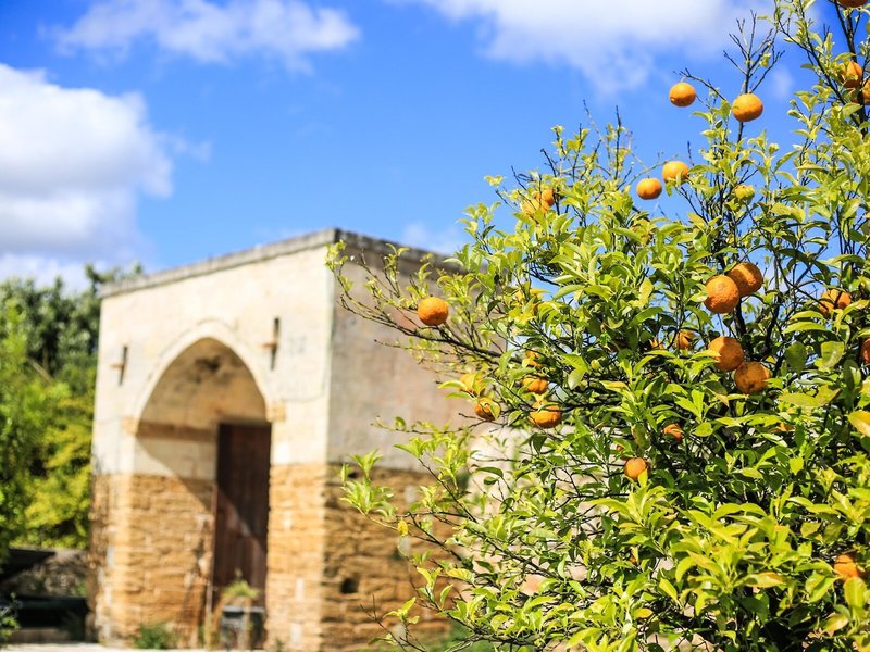 Tenuta Moreno Masseria & Spa 16