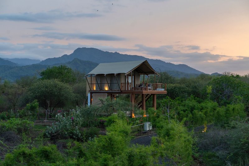 Menjangan Dynasty Resort, Beach Camp & Dive Centre 13