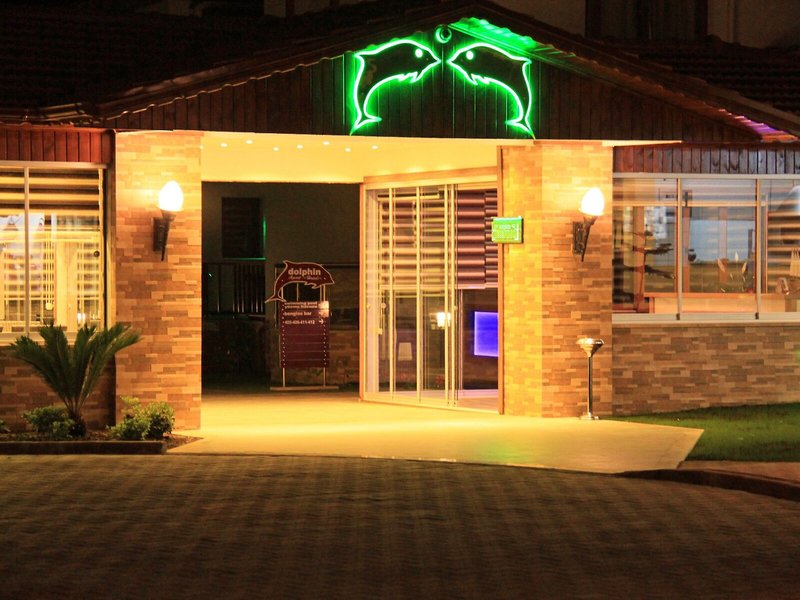 Dolphin Apart 2