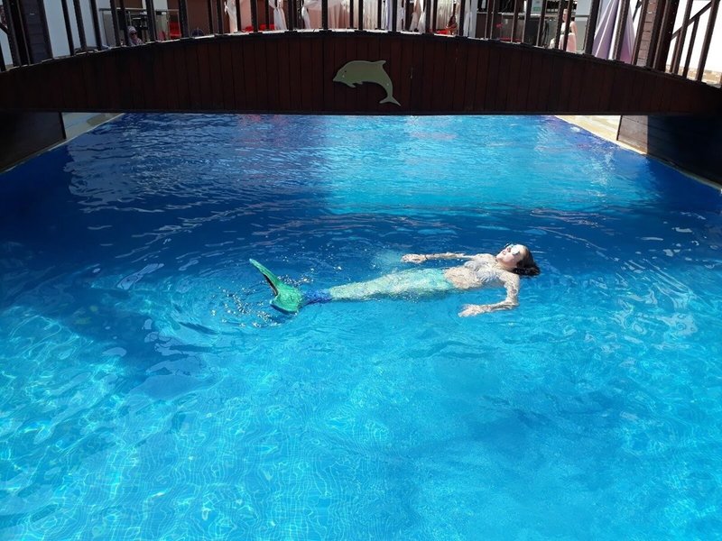 Dolphin Apart 19
