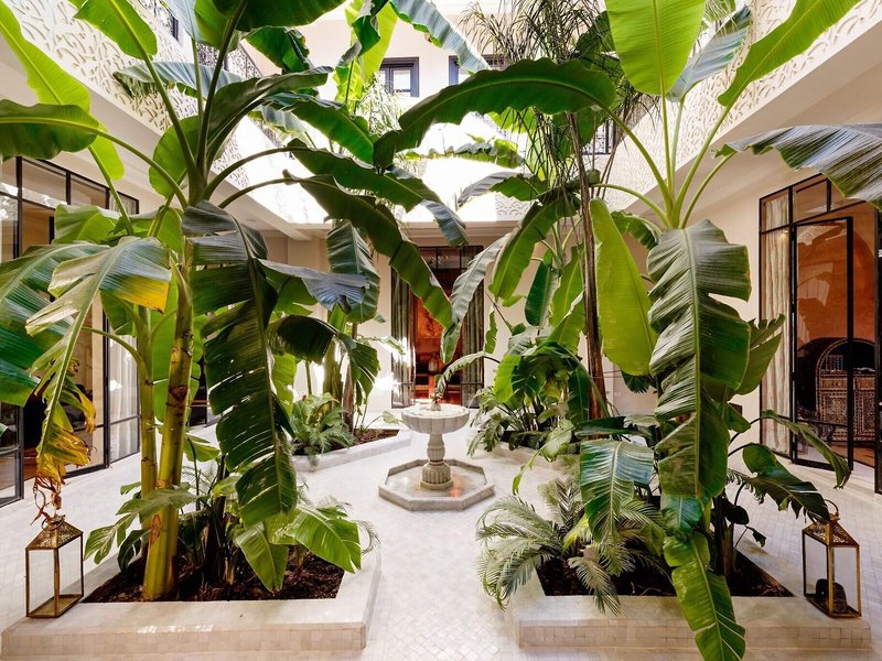 Riad Kheirredine 11