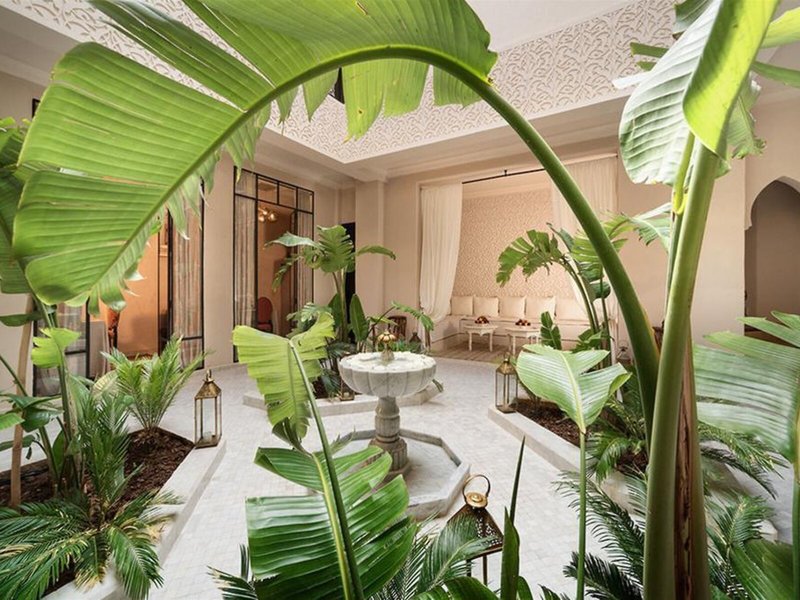 Riad Kheirredine 15
