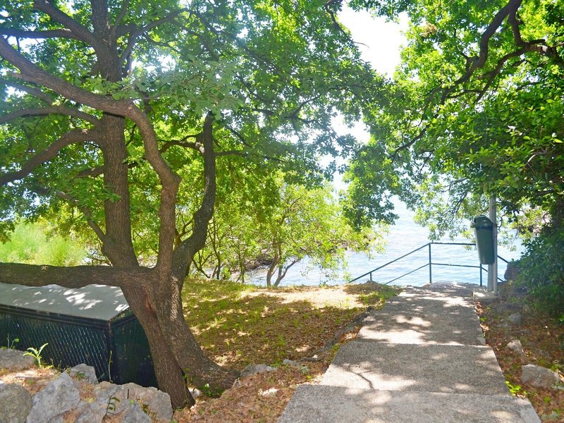 Apartments Martiva 5