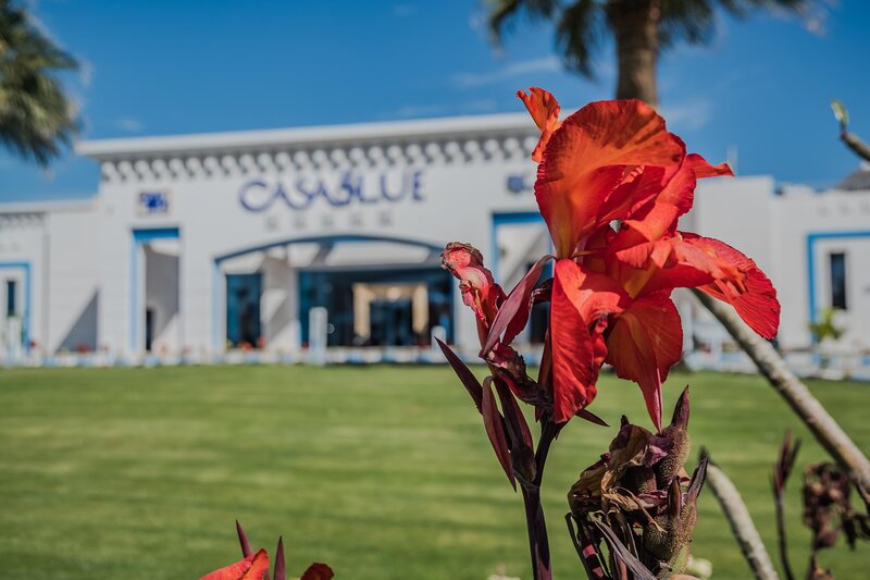 Casa Blue Resort 34