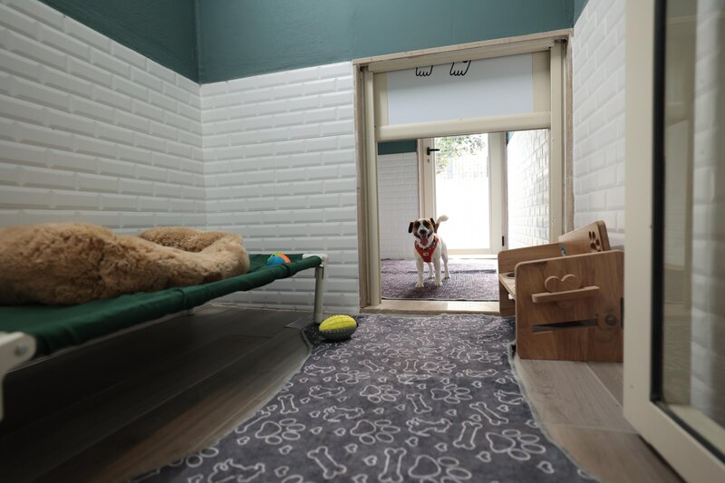 Nirvana Cosmopolitan 141