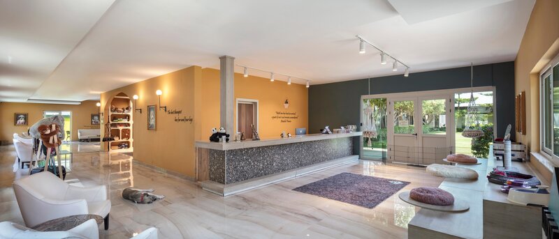 Nirvana Cosmopolitan 91