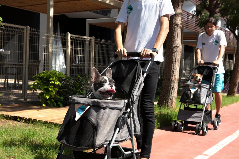 Nirvana Cosmopolitan 95