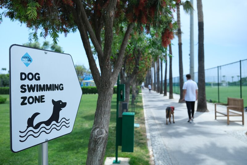 Nirvana Cosmopolitan 96