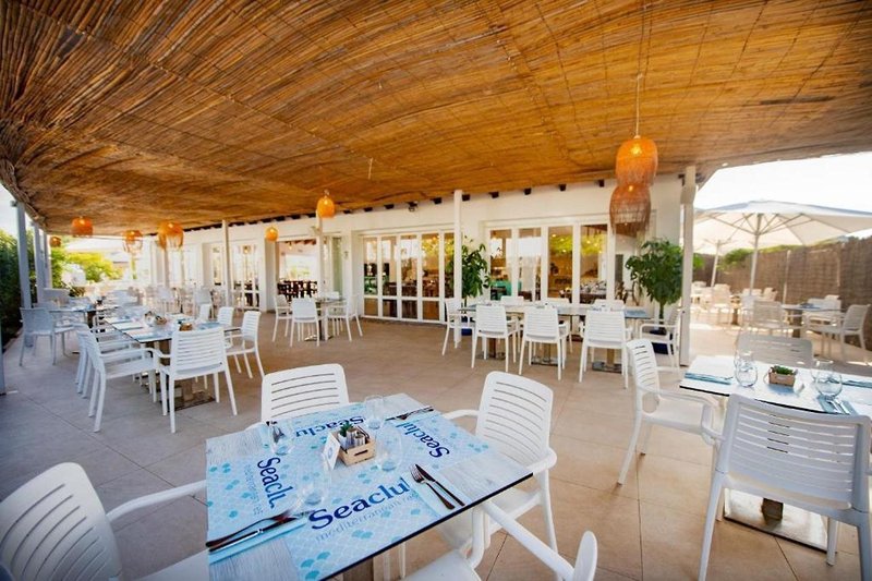 Seaclub Alcudia Mediterranean Resort 8