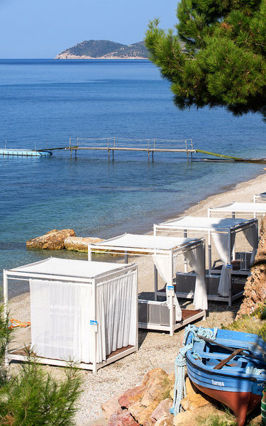 Alexandra Beach 36