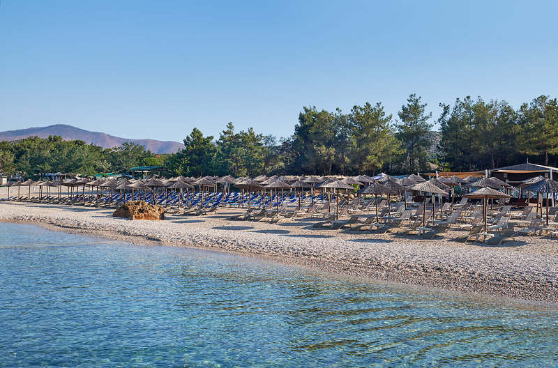 Alexandra Beach 8