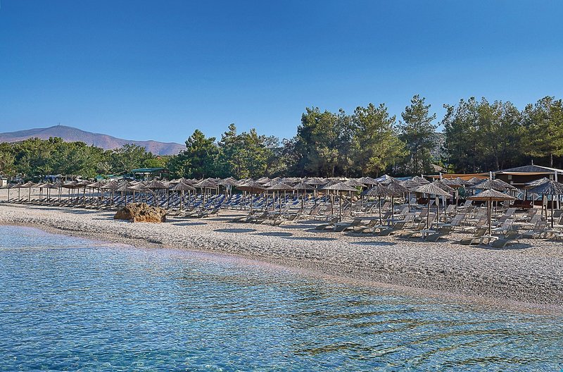 Alexandra Beach 7