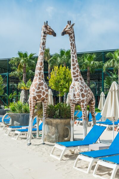 Granada Luxury Belek 379