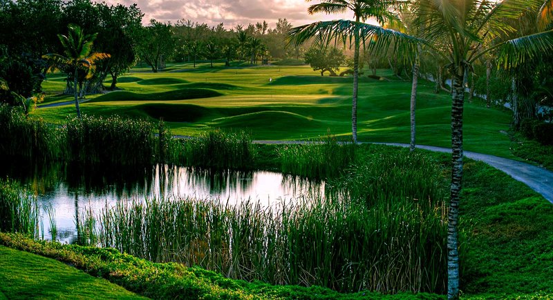 Barceló Bávaro Beach 21